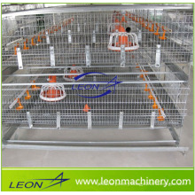 Leon series high quality A type poultry cage feeding system